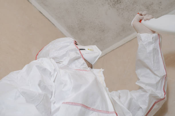 Best Mold Testing  in Plainfield, IL